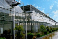 多肉植物清盛錦養(yǎng)護(hù)、繁殖方法